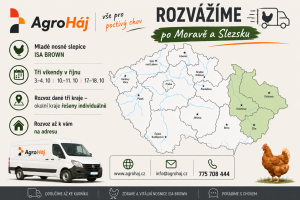Prodej drůbeže